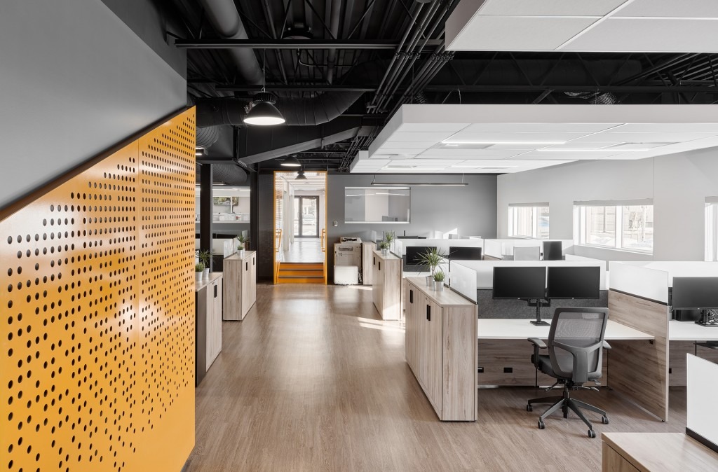 Artopex Axel - Image 4